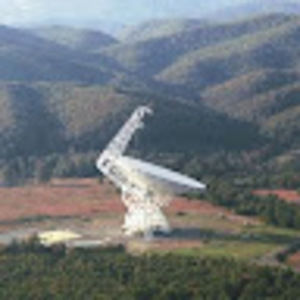 Meet your Posher, Annabelle